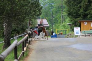 2018 Ausbildungswoche Arber